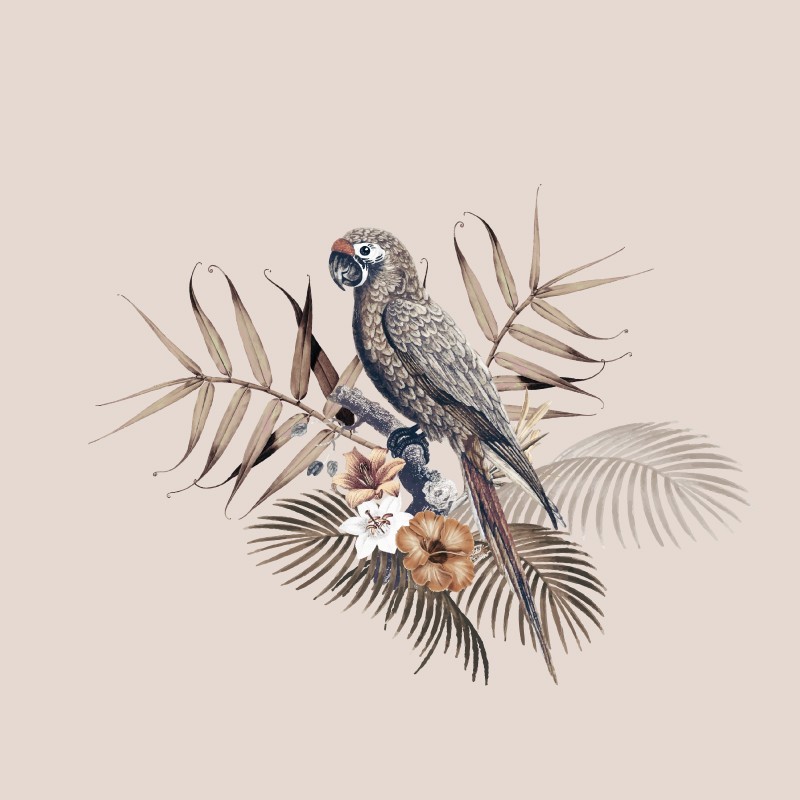 “Birdie” Wall Decal “Birdie” Wall Decal