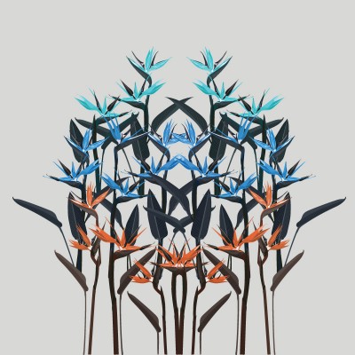 "Birds of Paradise" Wall Decal 2