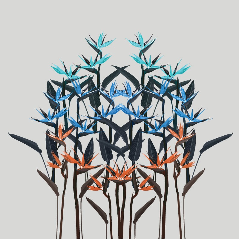 "Birds of Paradise" Wall Decal "Birds of Paradise" Wall Decal