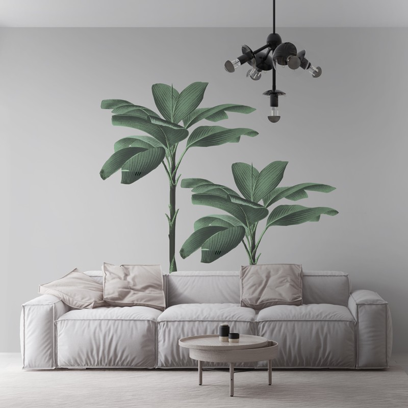 "The Amazing Trees" Wall Decal