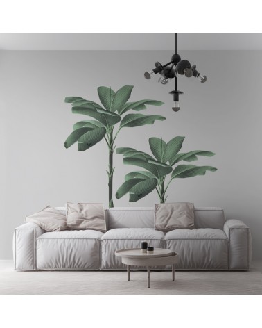 "The Amazing Trees" Wall Decal