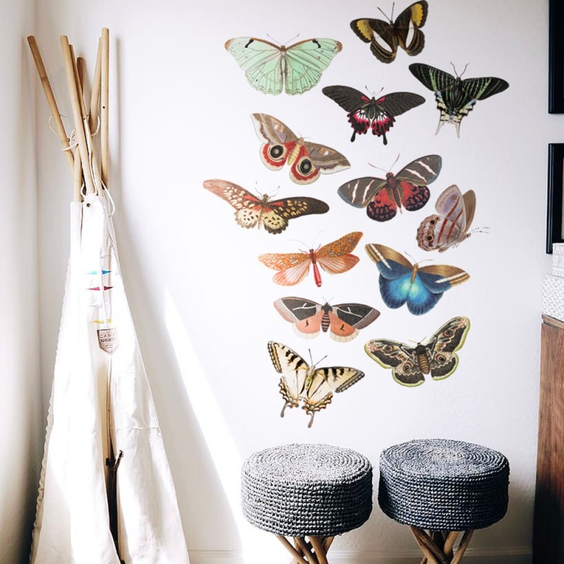 “Butterflies World” Wall Decal