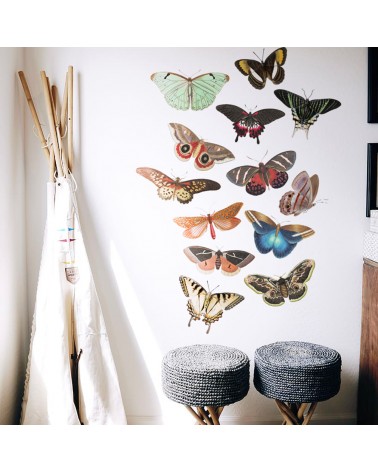 “Butterflies World” Wall Decal