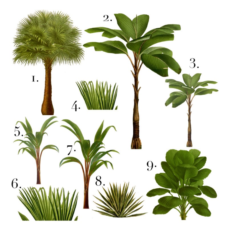 "It's a Jungle out there" Set of 14... "It's a Jungle out there" Set of 14...