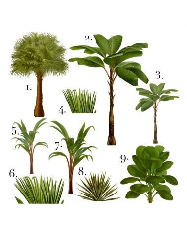 "It's a Jungle out there" Set of 14 pieces Wall Decal