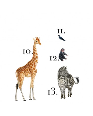 "It's a Jungle out there" Set of 14 pieces Wall Decal