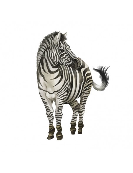 “Zebra" Wall Decal in "It's a Jungle out there" Collection
 الحجم-W 50 cm x H 50 cm