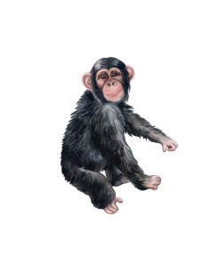 “Monkey" Wall Decal in...