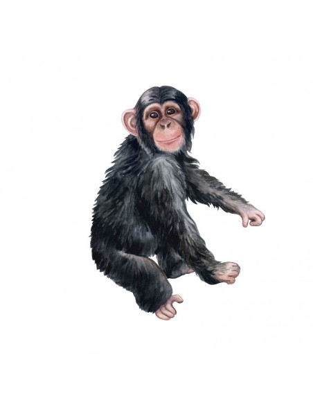 “Monkey" Wall Decal in "It's a Jungle out there" Collection