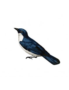 “Bird" Wall Decal in "It's...