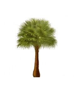 “Plant 1" Wall Decal in...