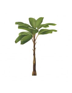 “Plant 3" Wall Decal in...