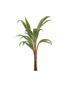 “Plant 5" Wall Decal in...