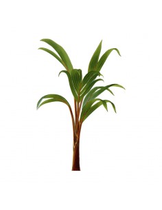 “Plant 7" Wall Decal in...