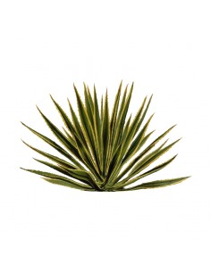 “Plant 8" Wall Decal in...