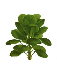 “Plant 9" Wall Decal in...