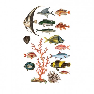 "Fish Tank” Wall Decal 2