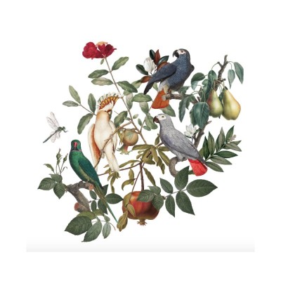 “Parrot Paradise” Wall Decal 2