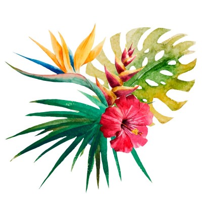 “Tropical Bouquet” Wall Decal 2