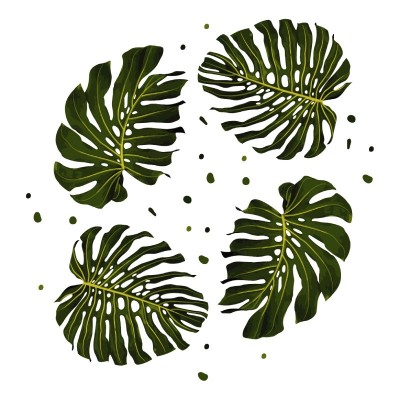 “Tropical leaves” Wall Decal 2