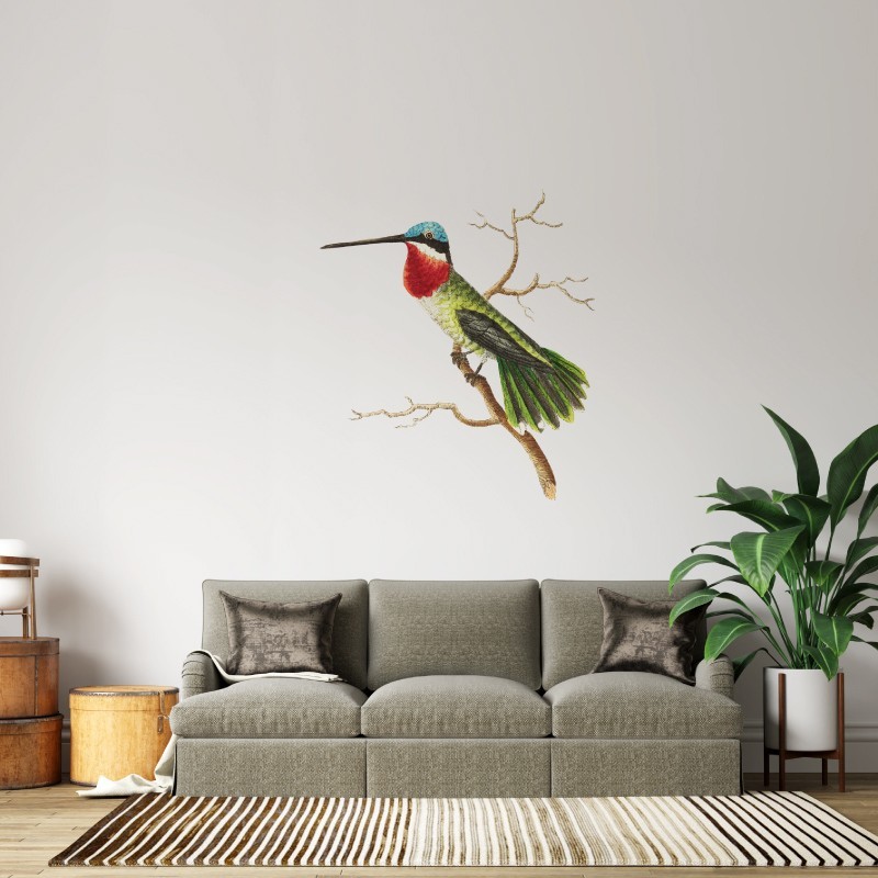 “Vintage Bird” Living room Wall Decal