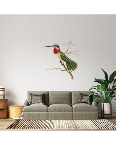 “Vintage Bird” Living room Wall Decal