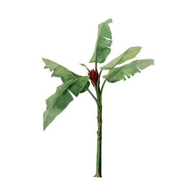 "Banana Tree" Wall Decal in...