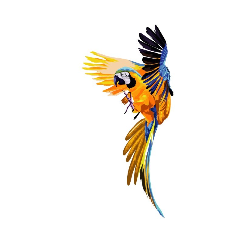 "Parrot" Wall Decal in "My Jungle" Collection