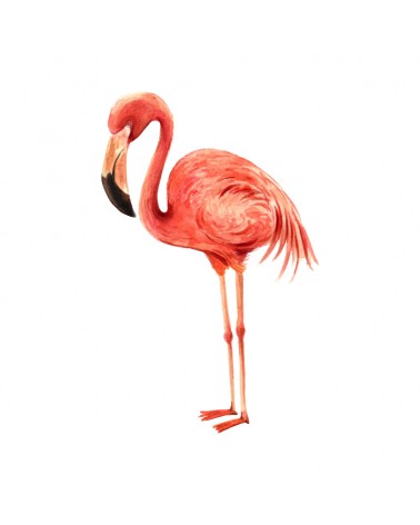"Flamingo" Wall Decal in "My Jungle" Collection
 الحجم-W 46 cm x H 72 cm (Large)