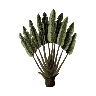 "Tropical Plant 1" Wall...