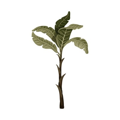 "Tropical Plant 2" Wall...