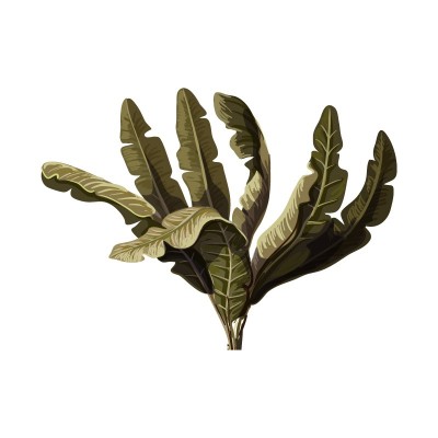 "Tropical Plant 4" Wall...