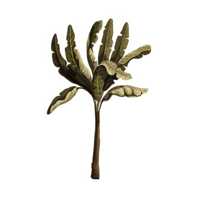 "Tropical Plant 5" Wall...