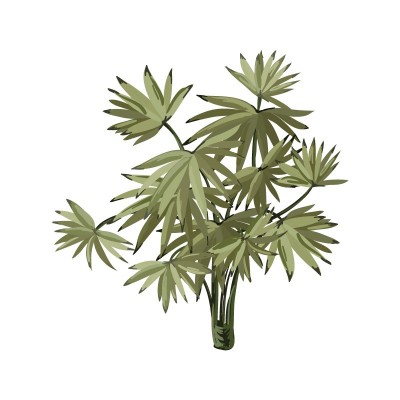 "Tropical Plant 7" Wall...
