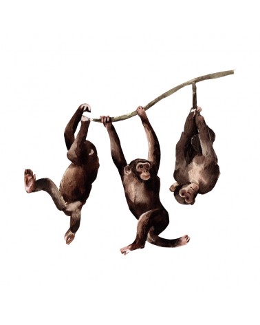 "3 Monkeys" Wall Decal in "My Jungle" Collection
 الحجم-W 66 cm x H 60 cm (Large)