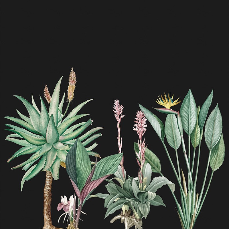 "Exotic Paradise" Wall Decal "Exotic Paradise" Wall Decal