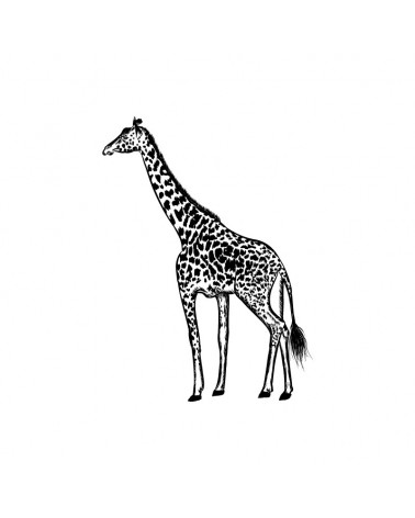 "Giraffe" Wall Decal in "Wild Place" Collection