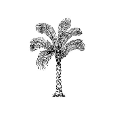 "Palm Tree 1" Wall Decal in...