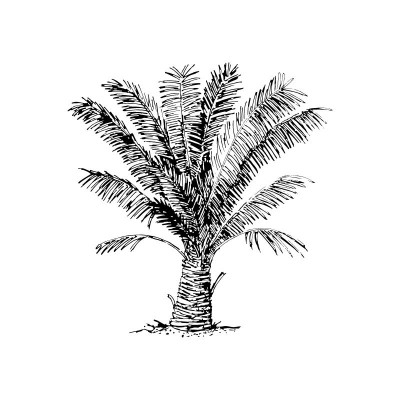 "Palm Tree 2" Wall Decal in...