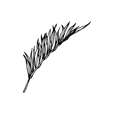 "Leaf 1" Wall Decal in...
