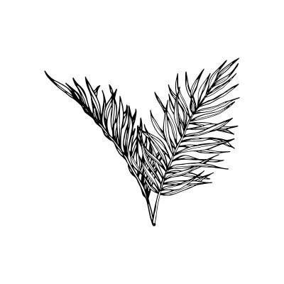 "Leaf 2" Wall Decal in...
