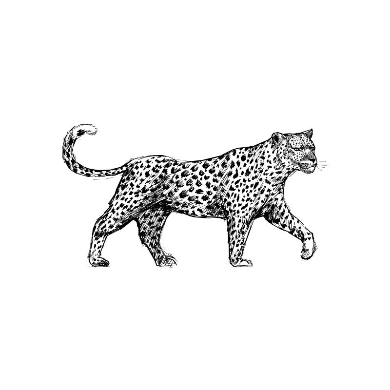 "Leopard Wall Decal in "Wild Place" Collection