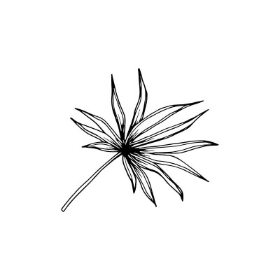 "Leaf 3" Wall Decal in...