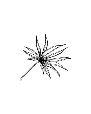 "Leaf 3" Wall Decal in "Wild Place" Collection
