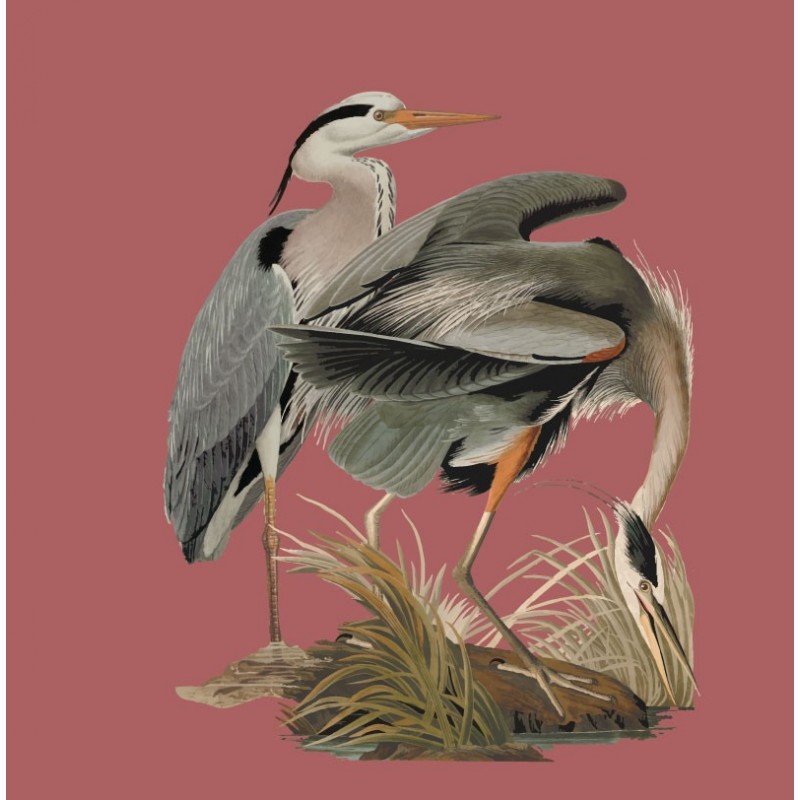 “Asian Cranes” Wall Decal