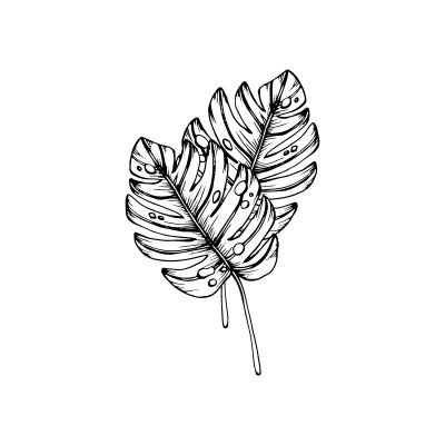 "Leaf 4" Wall Decal in...