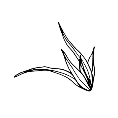 "Leaf 5" Wall Decal in...
