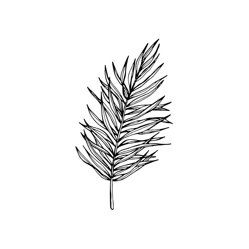 "Leaf 6" Wall Decal in "Wild Place" Collection