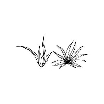 "Plant 1" Wall Decal in...