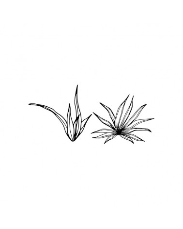 "Plant 1" Wall Decal in "Wild Place" Collection
